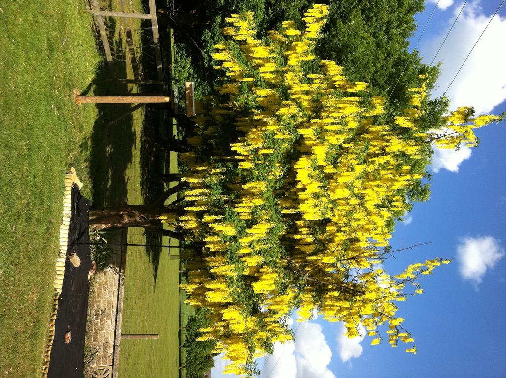 Stansted Inn Bishop's Stortford Luaran gambar